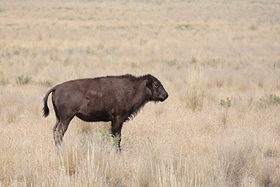 Landscape Photos : Richard Moore : Photographer